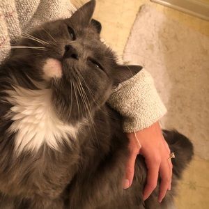 Meet your Posher, Brooke